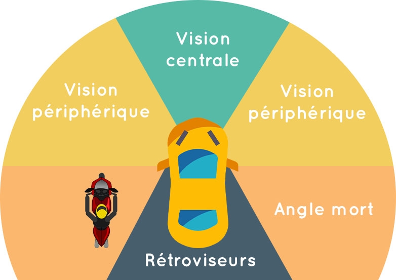 Le champ de vision en conduite Code en Poche