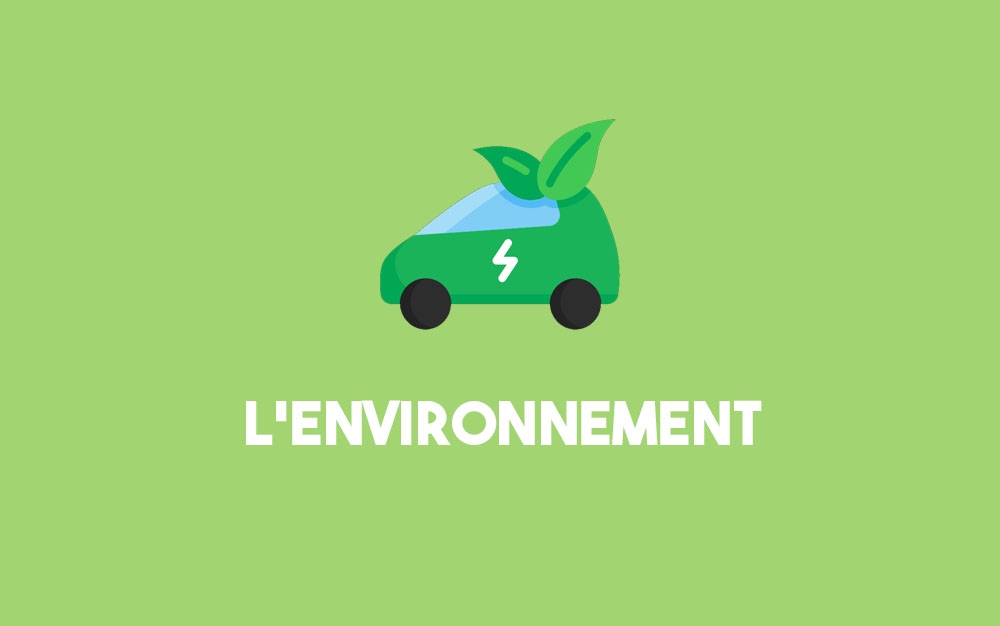 L’environnement