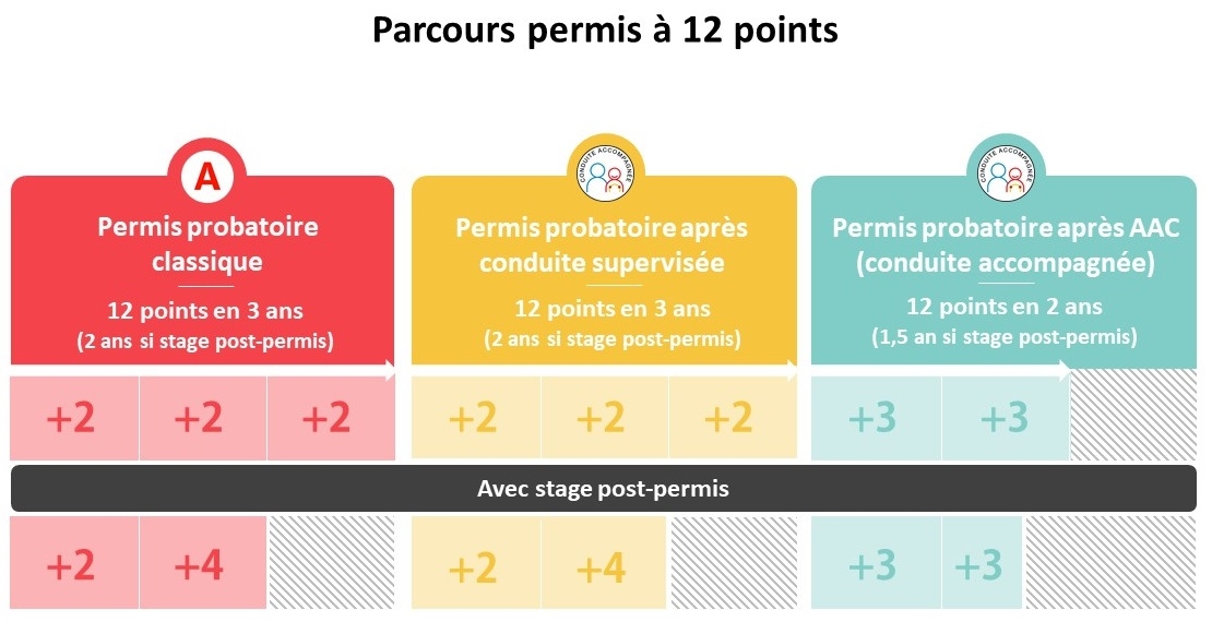 Durées d’obtention des 12 points en permis probatoire