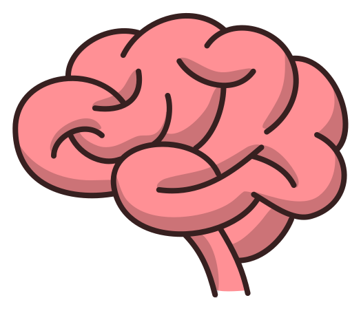 Cerveau
